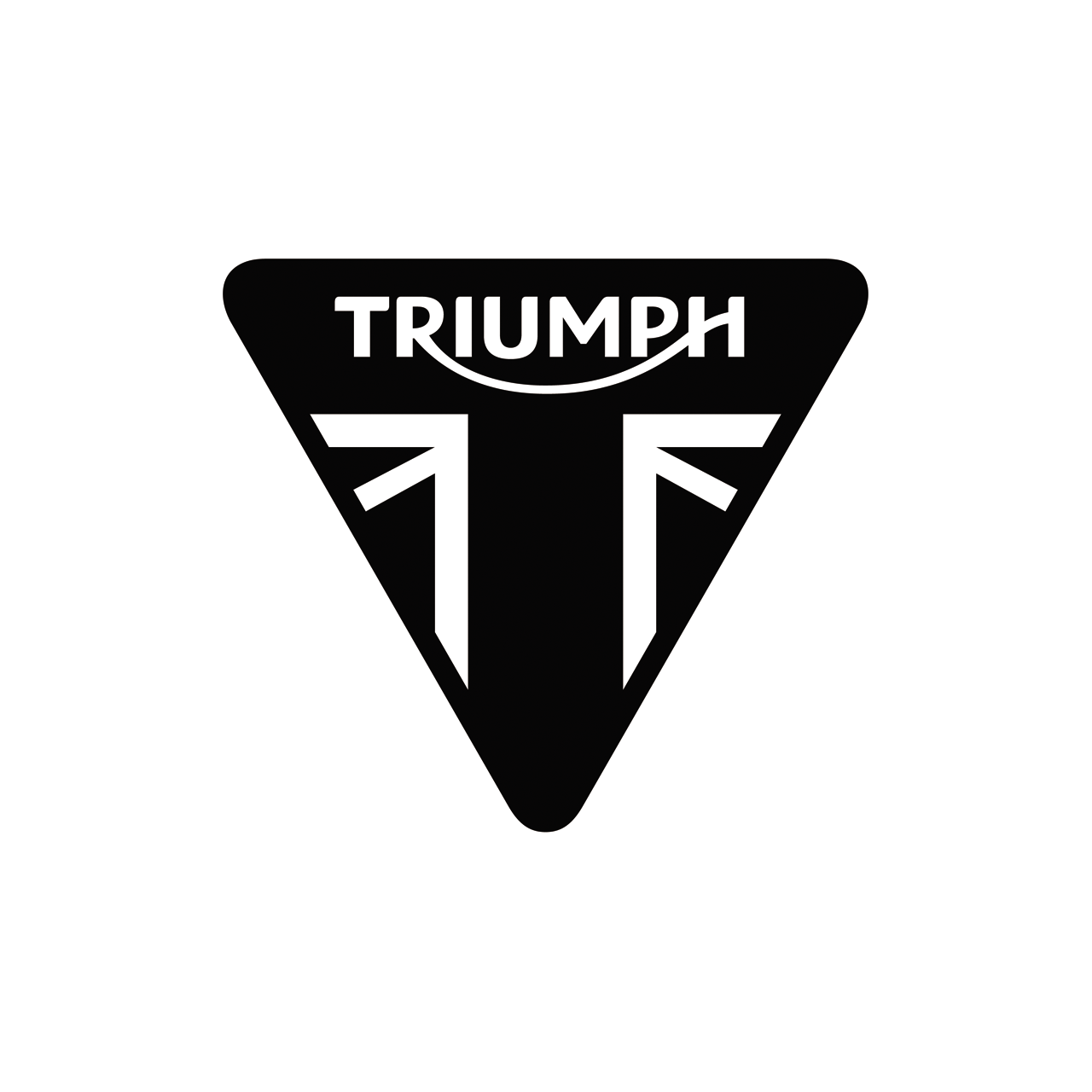 Triumph T2017223 Chain and Sprocket Kit 520
