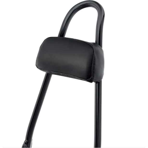 Harley-Davidson® Passenger Backrest Pad