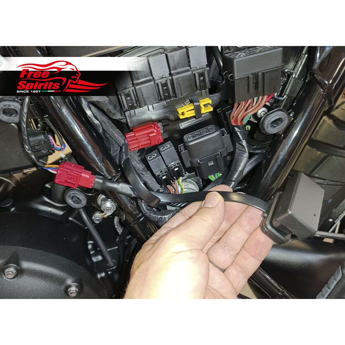 Free Spirits AMC automatic MIL Clear Tool for Triumph E5+