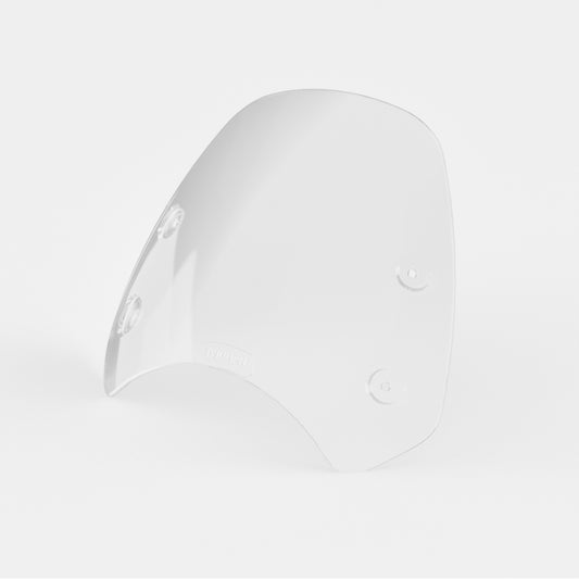 Triumph Speed 400 / Scrambler 400 X - Coated Screen