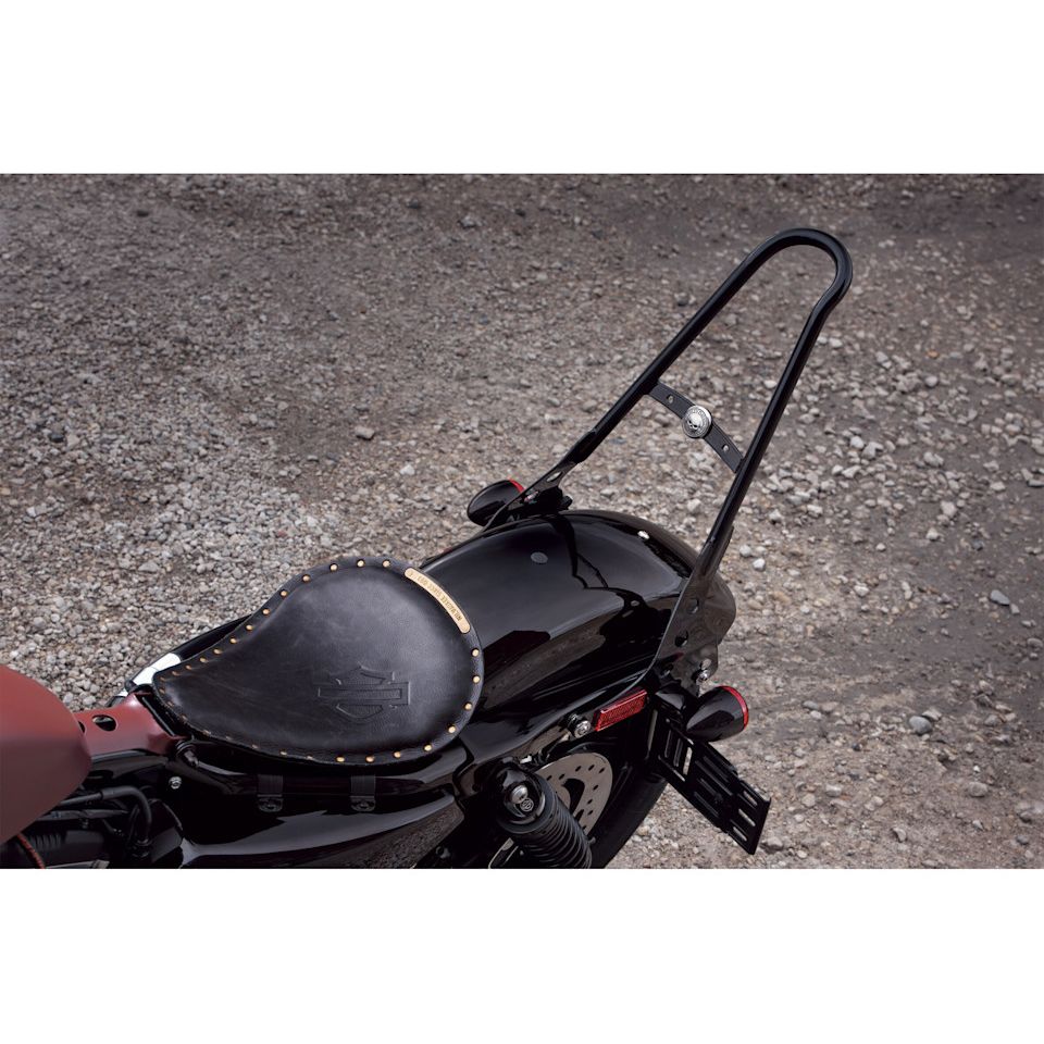 HARLEY-DAVIDSON One-Piece H-D Detachables Sissy Bar Upright Sportster XL 2004-ON