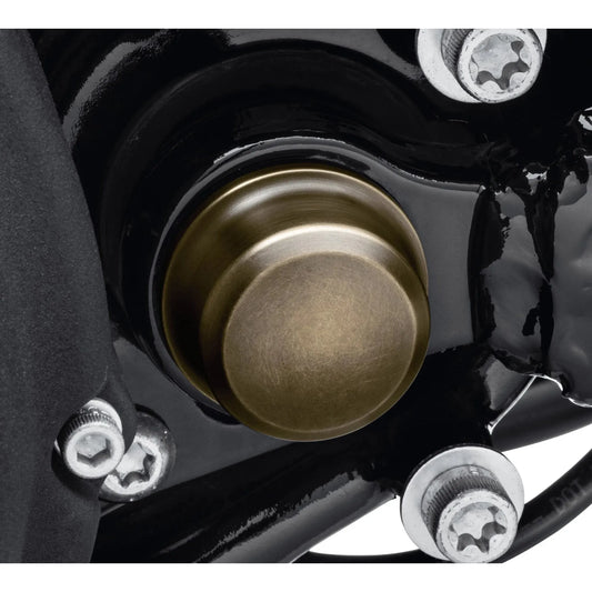 Harley-Davidson® Brass Swingarm Pivot Bolt Cover