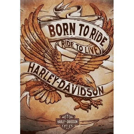 HARLEY-DAVIDSON - Nostalgic - H-D Born to Ride Eagle Thermometer