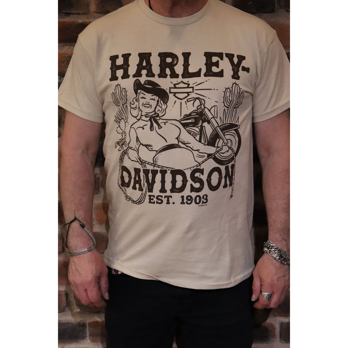 Newmarket Harley Davidson 30th Anniversary Western Dealer T