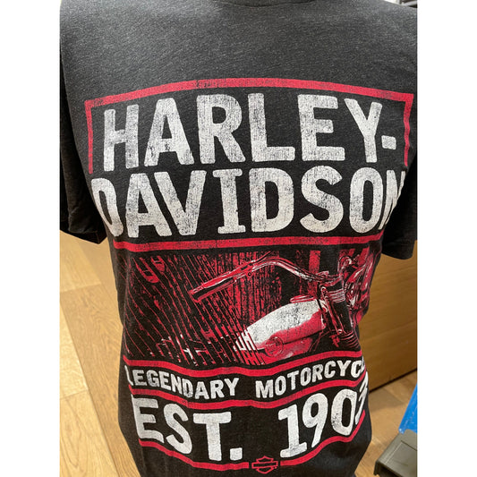 Harley-Davidson® VALID, Watford Dealer T-Shirt