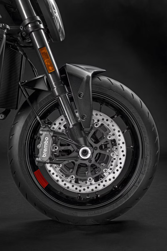 Ducati Carbon Front Mudguard Monster V2