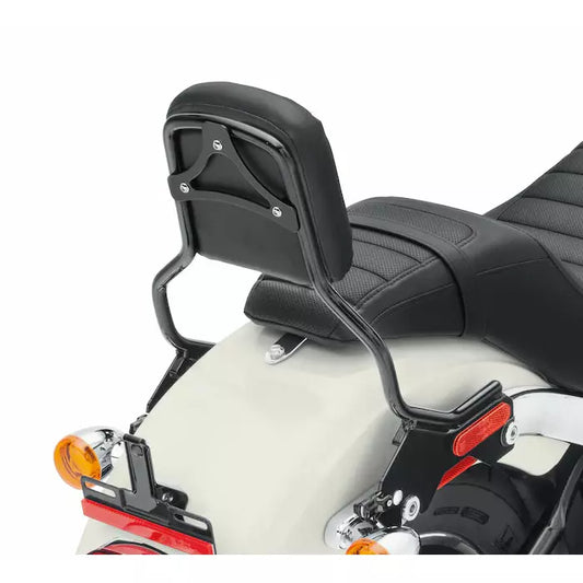 Harley-Davidson® HoldFast Sissy Bar Upright - Standard Height - Gloss Black