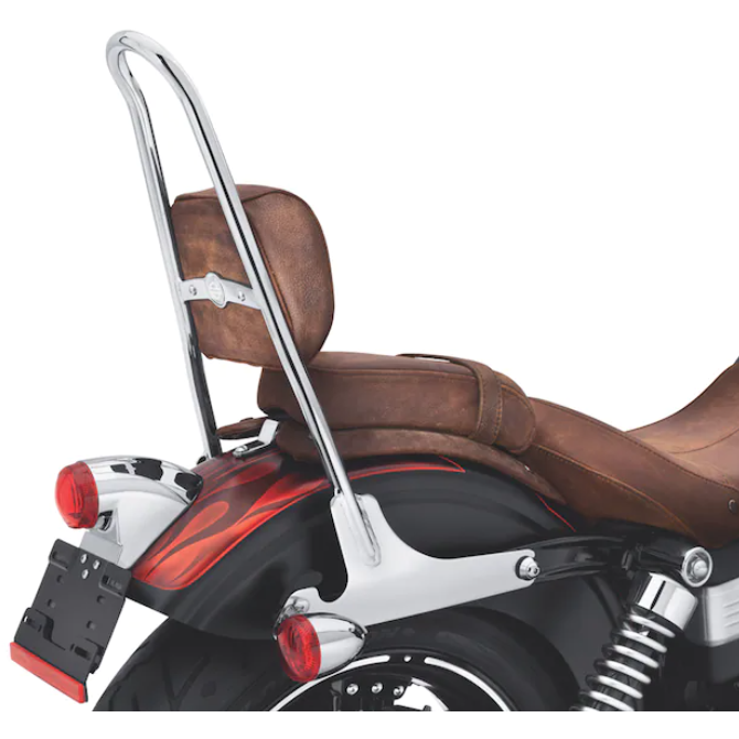 Harley-Davidson® One-Piece H-D Detachables Sissy Bar Upright