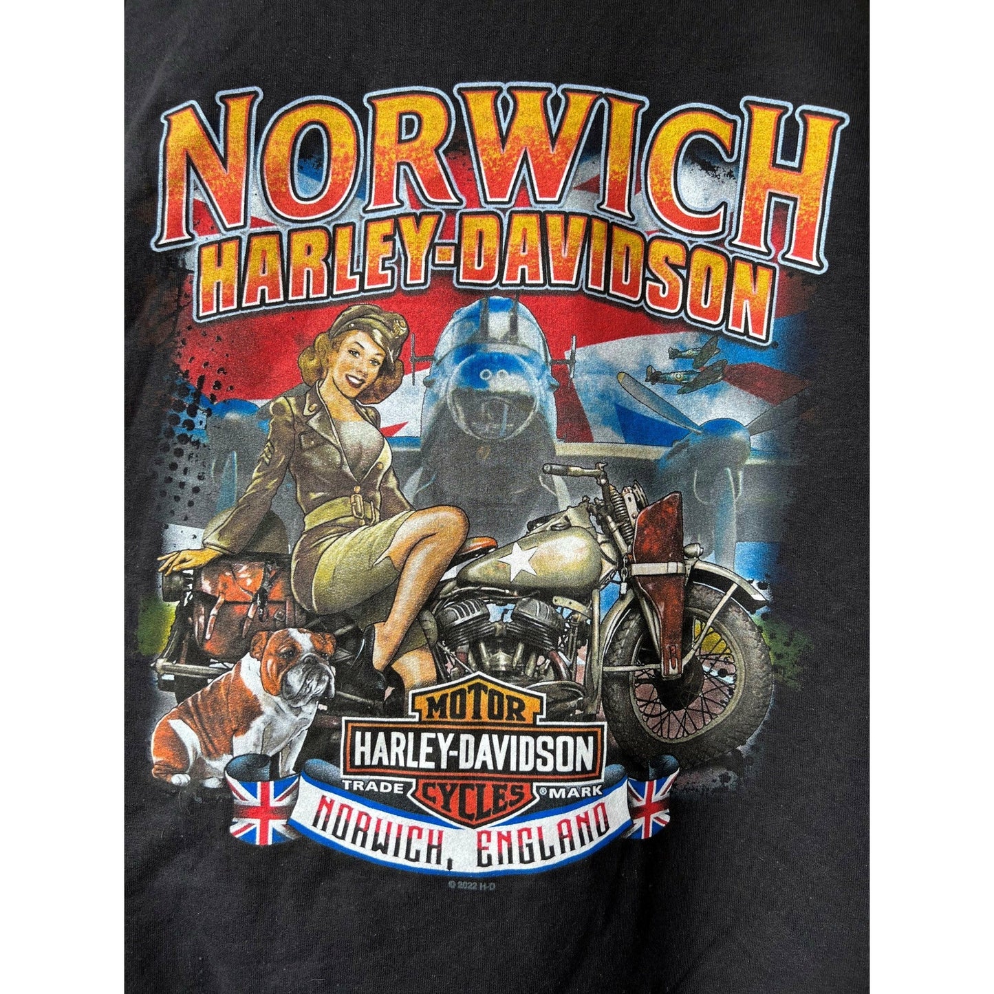 Harley-Davidson® BS Repeat - Norwich Dealer Tee