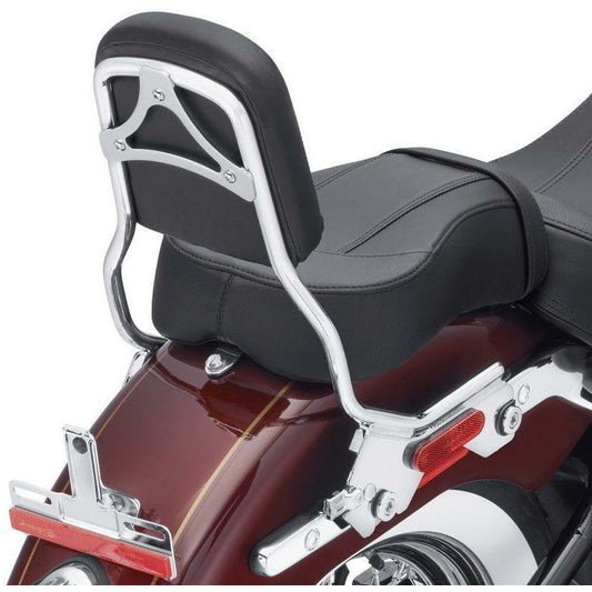 Harley Davidson® HoldFast Sissy Bar Upright